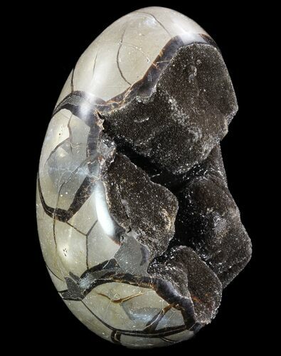 Bargain Septarian Dragon Egg Geode - Black Crystals #96729